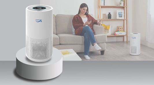 Is the air in your home clean? Why a HEPA Purifier Could Help.