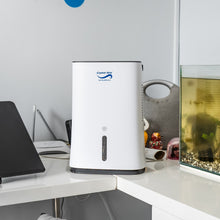 Load image into Gallery viewer, Crystal Aire Compact 2L Dehumidifier (600ml/day) w/ Automatic Timer &amp; More
