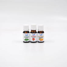 Load image into Gallery viewer, Crystal Aire Rosebud Diffuser Sweet Orange, Grapefruit and Peppermint Bundle
