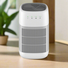 Load image into Gallery viewer, Crystal Aire Air Purifier &amp; Dehumidifier - Q10
