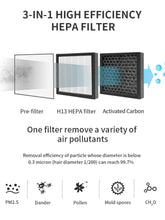 Load image into Gallery viewer, Crystal Aire Air Purifier &amp; Dehumidifier - Q9
