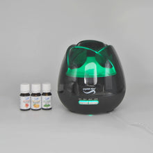 Load image into Gallery viewer, Crystal Aire Rosebud Diffuser Sweet Orange, Grapefruit and Peppermint Bundle
