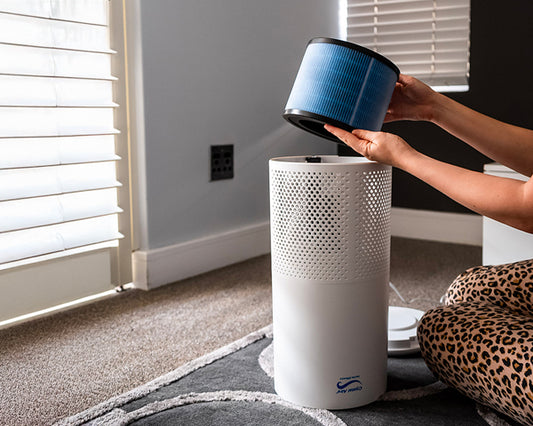 Crystal Aire Turbo Hepa Air Purifier - Spare Filter