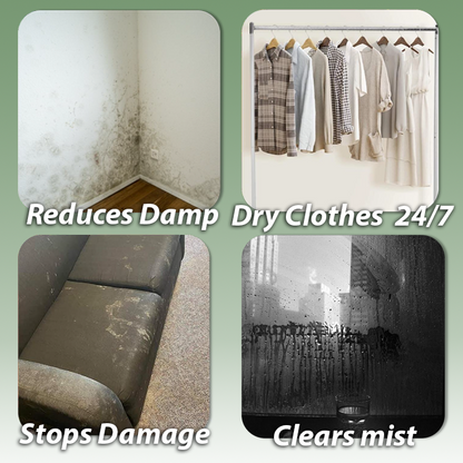 Crystal Aire 8L Desiccant Dehumidifier – Efficient Moisture Control for Every Season